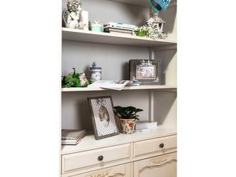 Mobilier de Maison: шкаф книжный(белая карамель)