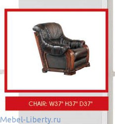 Euro Style Furniture: кресло(кожа SWH 08)