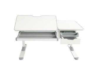 F.Desk: парта-трансформер(белый, серый)